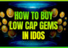 How to Buy Low Cap Gems in IDOs