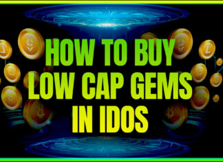 How to Buy Low Cap Gems in IDOs