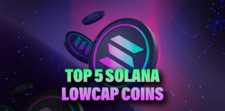 Top Solana Low-Cap for 2024