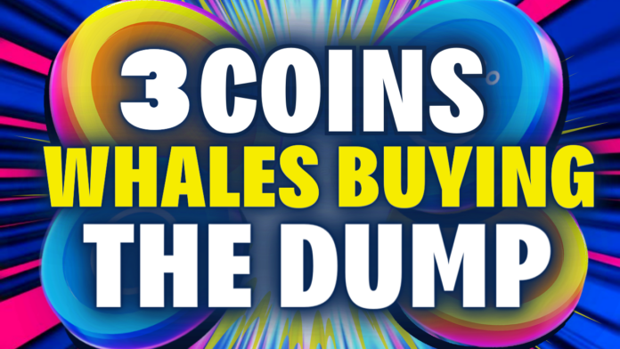 Crypto Whale Tactics: Top 3 Coins Bought on Dips