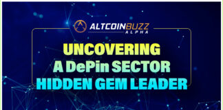 Uncovering a DePin Sector Hidden Gem Leader