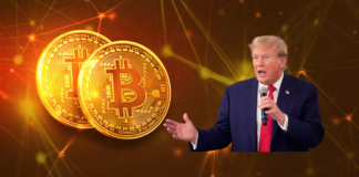 Donald Trump Gives a Wink to Bitcoin