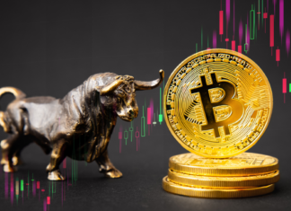 Will Bitcoin Hit Its Peak Before the Halving?