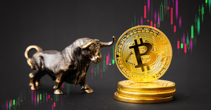Will Bitcoin Hit Its Peak Before the Halving?