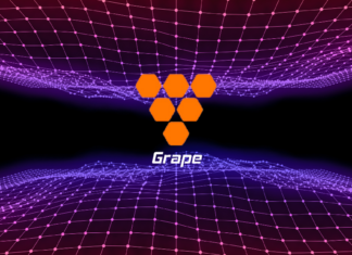 Grapes' 'Vine' Core Boosts Scalability, Hits Top 5 DAGs