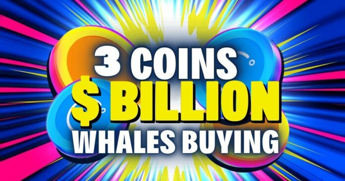 Crypto Whales are Accumulating These 3 Altcoins NOW