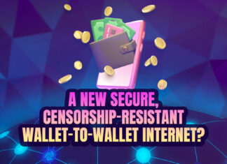 A New Secure, Censorship-Resistant Wallet-to-Wallet Internet?