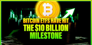 Bitcoin ETFs Have Hit the $10 Billion Milestone