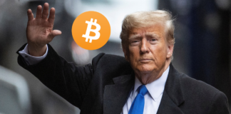Trump Embraces Bitcoin: Crypto Fun and Profit