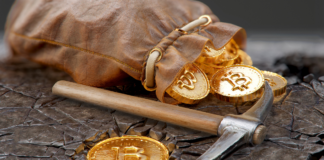 Gold Mining Nilam Resources Intends to Purchases 24,800 BTC