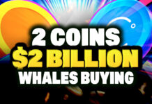 Crypto Whales are Buying These 2 Hot Altcoins