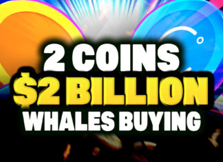Crypto Whales are Buying These 2 Hot Altcoins