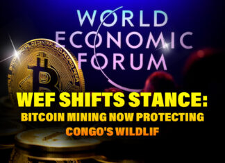 WEF Shifts Stance: Bitcoin Mining Now Protecting Congo's Wildlif