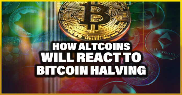 How Altcoins will React to Bitcoin Halving