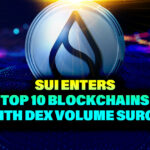 Sui Enters Top 10 Blockchains with DEX Volume Surge