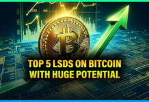 TOP 5 LSDs on Bitcoin with HUGE potential