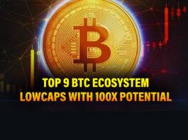 Top 9 Bitcoin Low Caps Coins with 100x Potential – Part 2