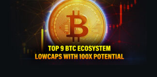 Top 9 Bitcoin Low Caps with 100x Potential