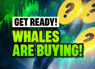 Crypto Whales Are Ready For the Bull Run, Are You?