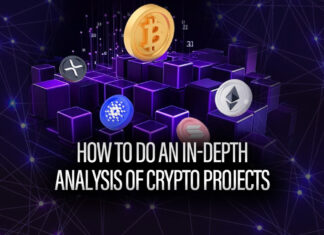How to do an in-depth analysis of crypto projects