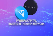 Pantera Capital Invests in The Open Network