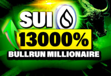 How Many SUI Tokens Can Make You A Crypto Millionaire?