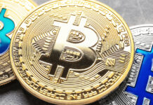 Mt. Gox Moves 42,830 BTC After Five-Year Dormancy