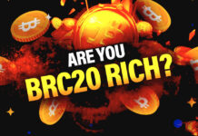 Can THIS BRC-20 Crypto Token Make People Rich?